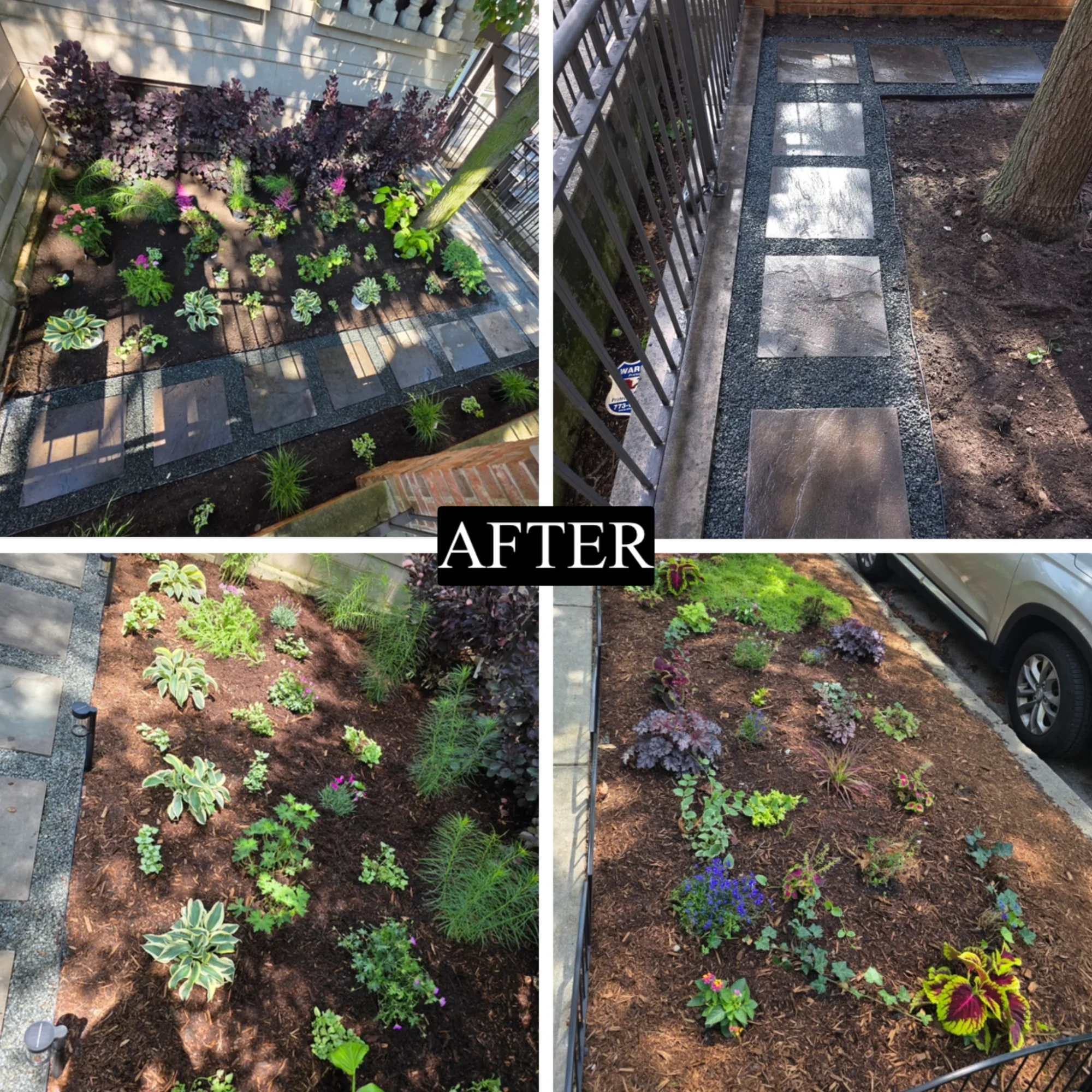 Chicago garden transformation
