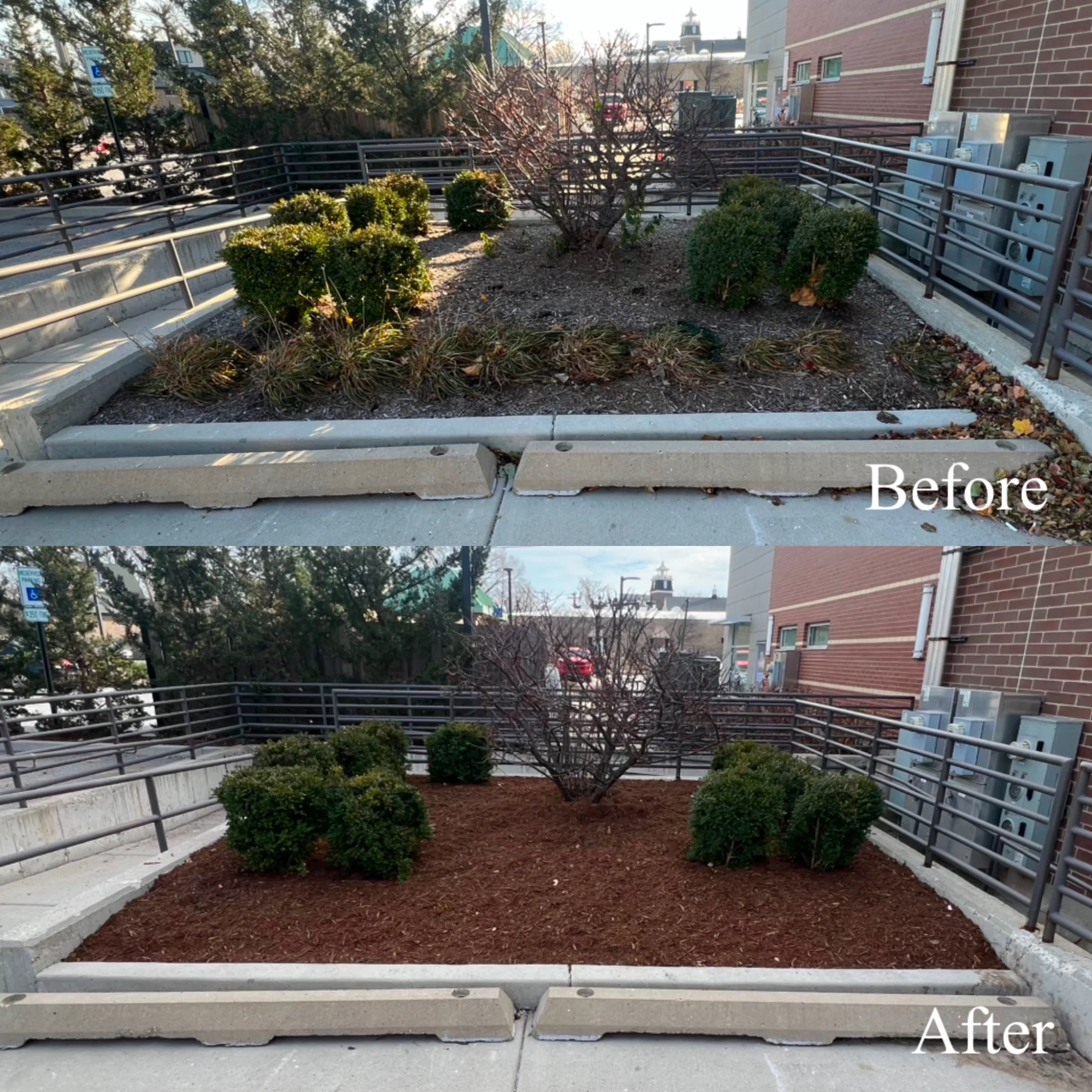 Park Ridge mulch and cleanup