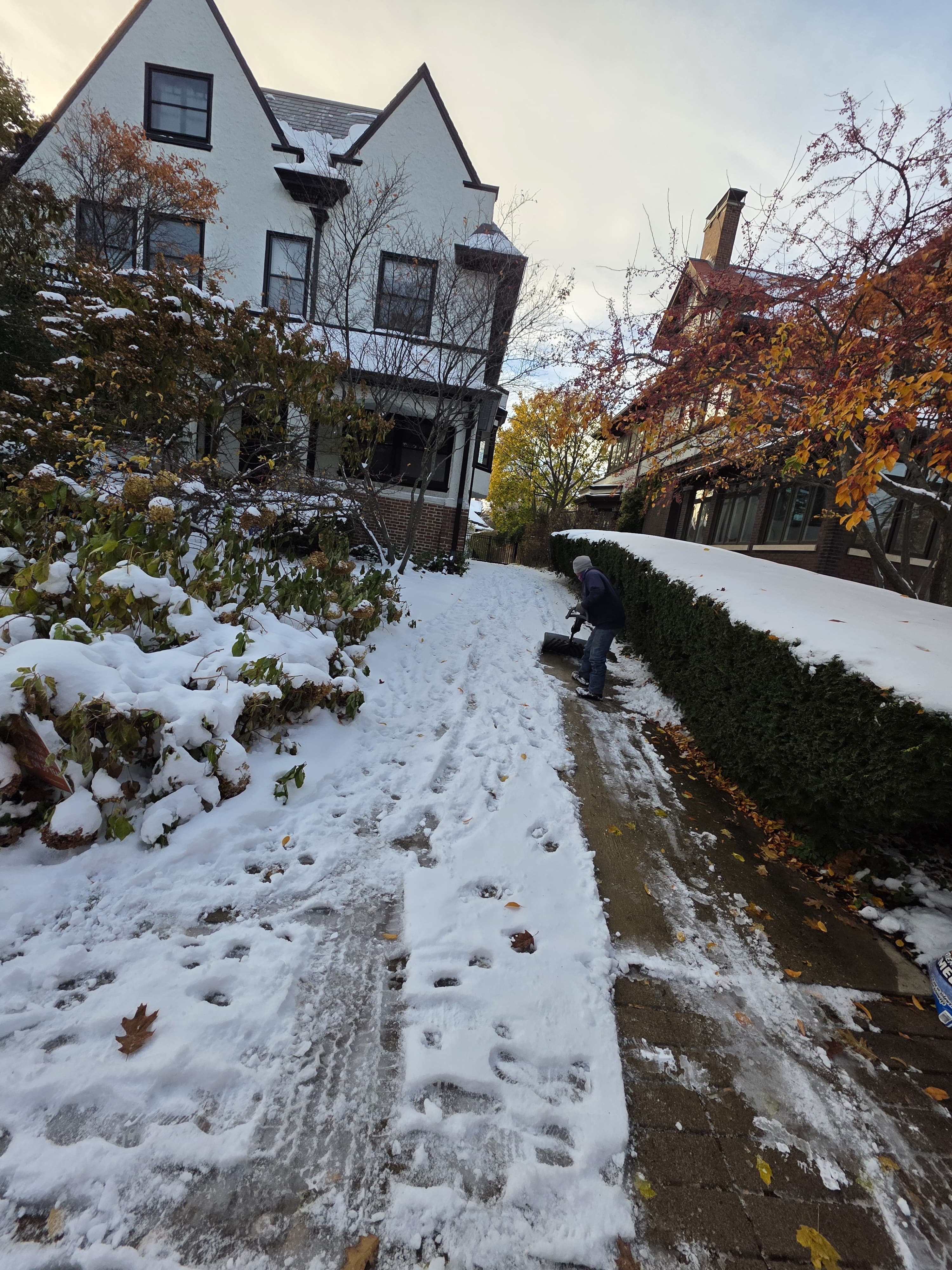 Snow Removal Services